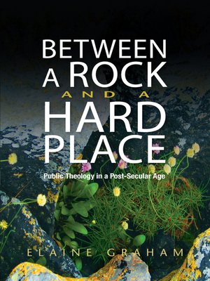 cover image of Between a Rock and a Hard Place